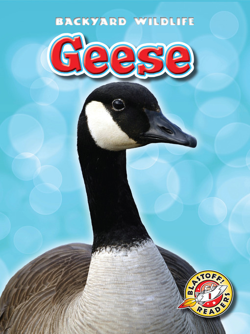 Cover image for Geese